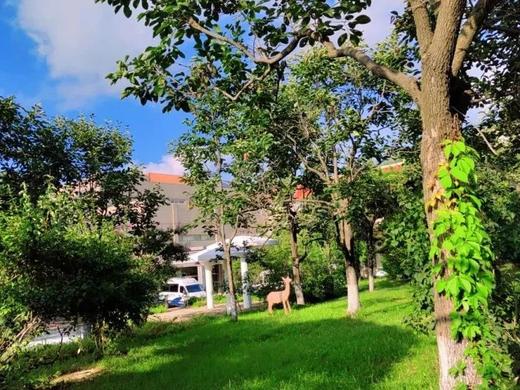 【河北秦皇岛北戴河宝石路基地】 商品图7