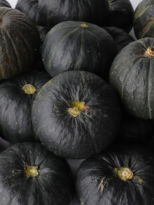 甜果源源 贝贝南瓜 商品图8