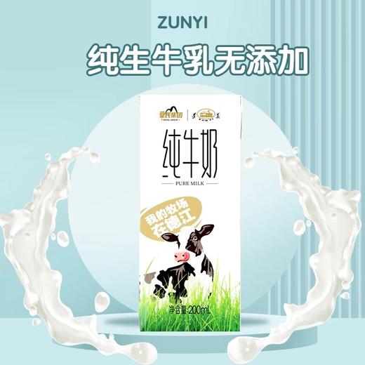 【快递包邮】贵州遵义纯牛奶200ml*15盒/箱 商品图1