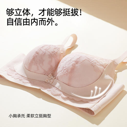 熳洁儿 小胸聚拢文胸双重反重力提拉无侧骨法式花卉蕾丝文胸25261513 商品图2