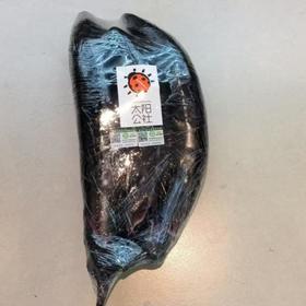 太阳公社有机紫长茄 300g/份