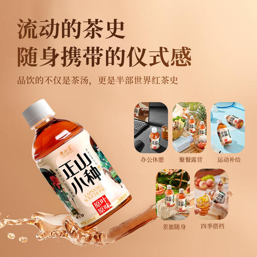 正山堂 正山小种纯茶原叶原味红茶饮料0糖0负担茶饮料自己喝自饮 商品图5