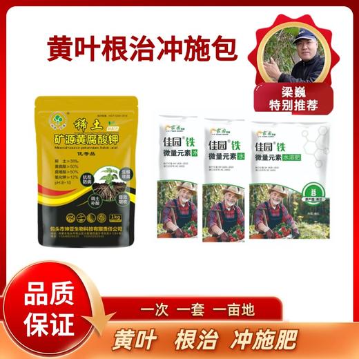 黄叶根治冲施包 商品图0