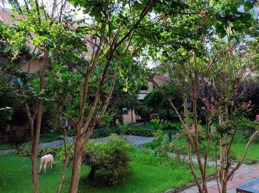 【河北秦皇岛北戴河宝石路基地】 商品图10