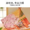 TOi图益-潮玩拼图系列-故宫四季-春-300片 商品缩略图1