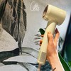 [屁侠推荐]徕芬 电吹风/吹风机/风筒 SE Lite 商品缩略图0