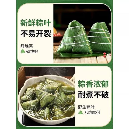 香源 天然新鲜 包粽子 粽叶 50片/袋 商品图2