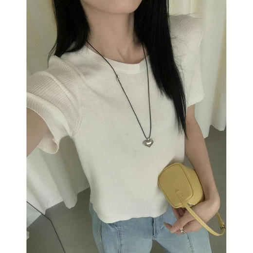 丁摩 春夏桑蚕丝+羊毛软糯舒适短袖针织衫时尚休闲条纹T恤上衣5ZF-25177 商品图4