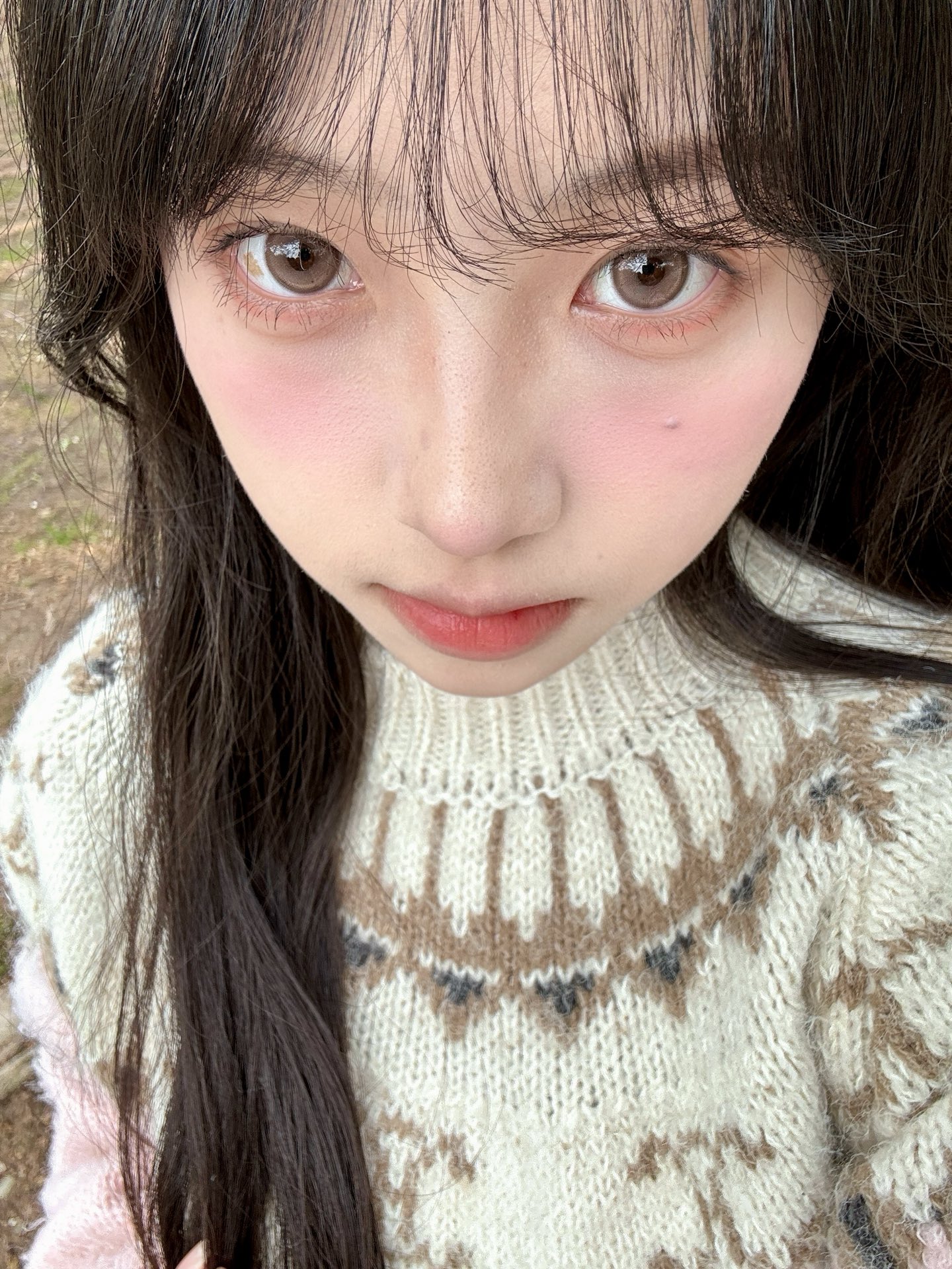 loveiikira 半年抛 奶油底妆 直径14.2mm着色13.6mm