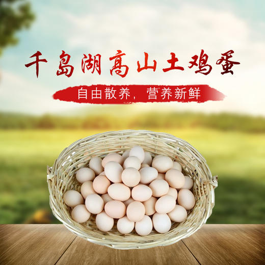千岛湖高山土鸡蛋礼盒 商品图4