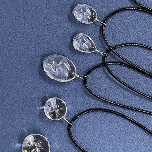 《世界上不可思议的果实种子图鉴》 商品图14