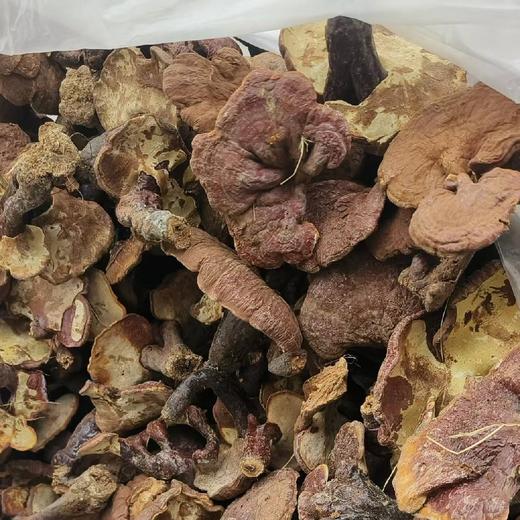 【任之堂野生灵芝（每份1斤）】 商品图0