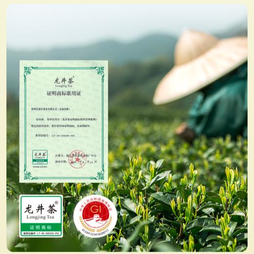【2025新茶】艺福堂雨前龙井茶150g核心钱塘产区大叶耐泡口粮茶绿茶 商品图3