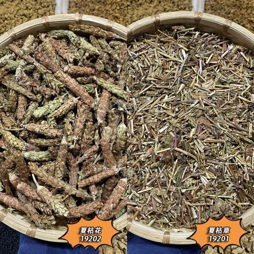 夏枯草 全草带杆  夏枯花 商品图0