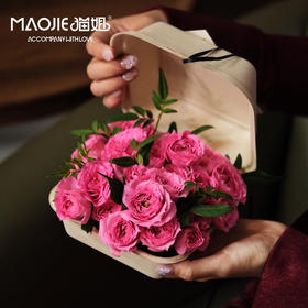 例外与偏爱花艺【生长在盒子里的小花园—苏菲宝贝便当花盒】