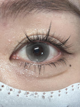 DeerBell半年抛美瞳 柚子茶 14.2mm