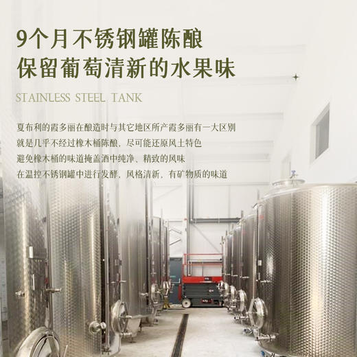 【法国进口】 法国穆德霍斯小夏布利干白葡萄酒  勃艮第AOC单一霞多丽干白葡萄酒  12%VOl 商品图7