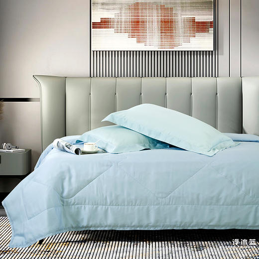鑫缘 夏凉可水洗纯蚕丝被 AEPF0320 商品图3