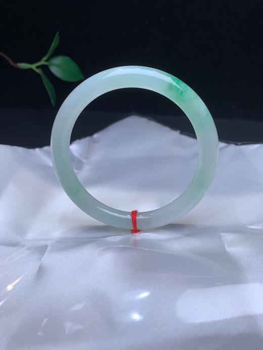 612985，55飘绿细圆条，整条清新干净，飘一抹绿，清清爽爽 商品图3