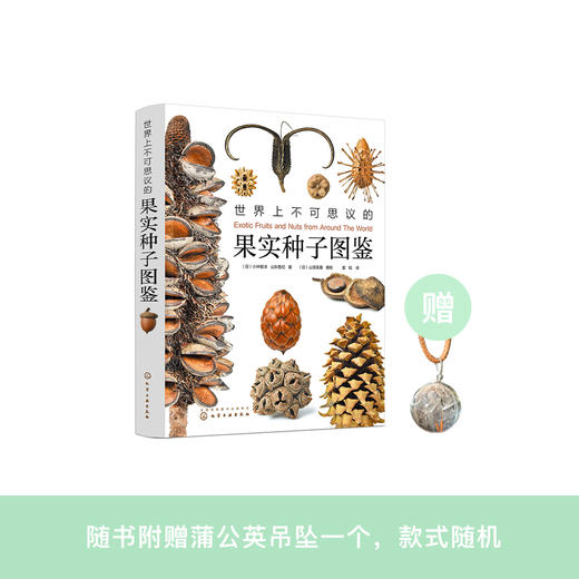 《世界上不可思议的果实种子图鉴》 商品图0