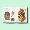 《世界上不可思议的果实种子图鉴》 商品缩略图2