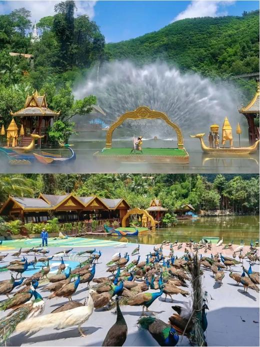 【云南西双版纳星光夜市基地】 商品图5