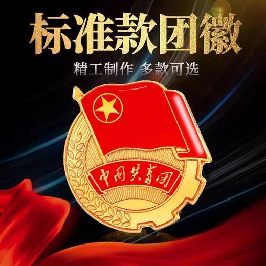 团徽/党徽 商品图1