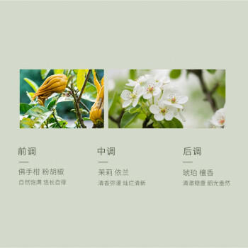 半亩花田热巴同款氨基酸香氛沐浴露持久留香清洁滋润保湿沐浴液男女400g /个人护理 /身体护理 /沐浴露 商品图1