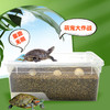 忍者神龟DIY孵化套装 亲手孵化小乌龟,一站式养成体验,科普教育,亲子互动 商品缩略图2