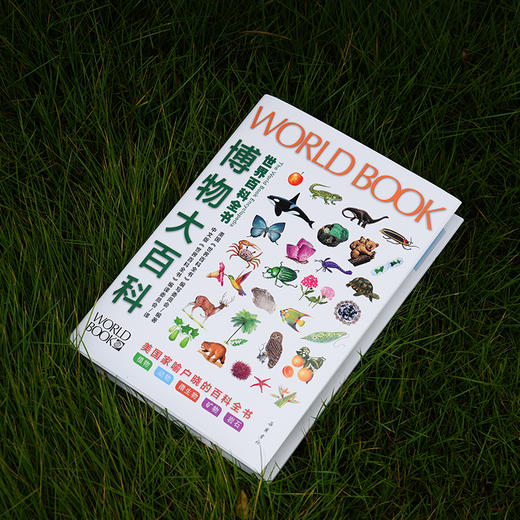 《世界百科全书大百科：博物大百科》 商品图7