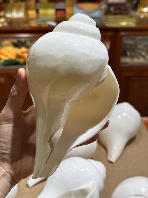 印度白海螺尼泊尔八吉祥八供法螺可吹奏白海螺密宗法器 商品图5