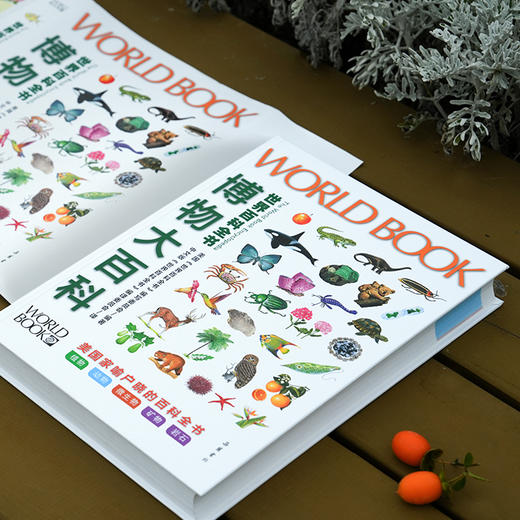 《世界百科全书大百科：博物大百科》 商品图4