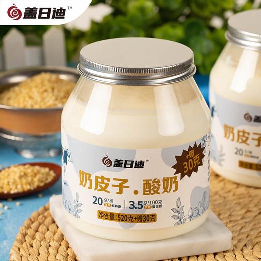 盖日迪奶皮子酸奶550g 商品图3