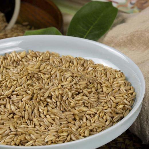 【安第斯藜】燕麦米500g/包*2袋颗粒饱满麦香浓郁 商品图2