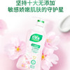 好爸爸（Kispa）樱花内衣洗衣液 洗衣露套装5.2斤 除菌去血渍 内衣裤专用 /家庭清洁/纸品 /衣物清洁 /内衣洗衣液 商品缩略图0