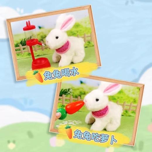 【春上新】8楼 乐高  白色拉比兔 吊牌价  369元 商品图2