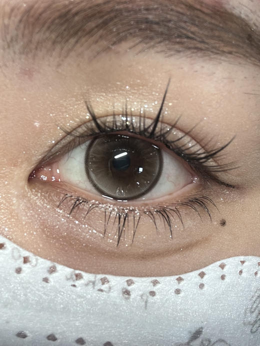 DeerBell半年抛美瞳 布丁狗 14.0mm 商品图0