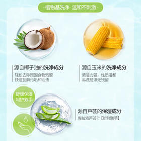 开米餐具净洗洁精1kg*单瓶无香型洗涤灵植萃配方除菌去油污厨房清洗剂 /家庭清洁/纸品 /家庭环境清洁 /洗洁精