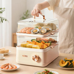 香槟金电蒸锅（12L）