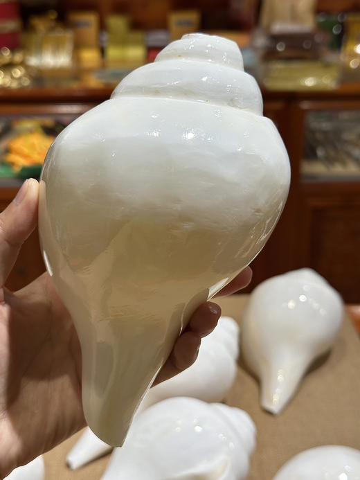 印度白海螺尼泊尔八吉祥八供法螺可吹奏白海螺密宗法器 商品图13