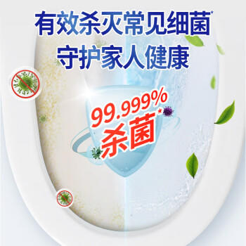 浪奇万丽除菌洁厕剂洁厕灵洁厕宝750g*18瓶 整箱实惠装厕所马桶清洁液 /家庭清洁/纸品 /家庭环境清洁 /洁厕灵 商品图1