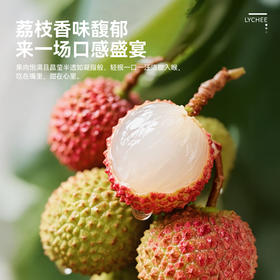 【顺丰冷链直发】海南妃子笑荔枝 净重2.5斤装/4.5斤装 皮薄核小 爆汁鲜甜
