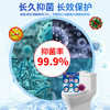 巨奇严选 蓝泡泡洁厕宝 50g*15块洁厕块 去污洁厕灵厕所马桶清洁剂 /家庭清洁/纸品 /家庭环境清洁 /洁厕灵 商品缩略图6