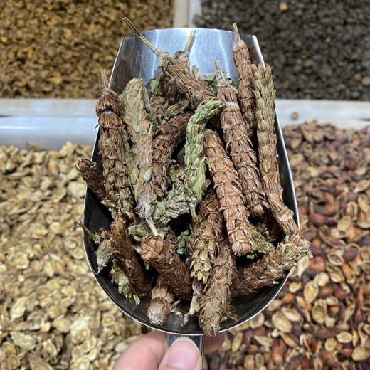 夏枯草 全草带杆  夏枯花 商品图5
