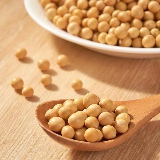 800g/袋仅29.9有机黄金黄豆东北黑土地种植自然晾晒人工手选颗颗饱满42.5%蛋白质含量配料表干净基地直邮 商品图0