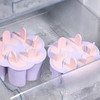 【雪糕模具】美丽雅雪糕盒冰格冰块模具家用食品冰棍冰棒冰淇淋冻冰糕自制冰盒级双层冰糕盒花形 商品缩略图3