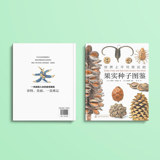 《世界上不可思议的果实种子图鉴》 商品图12