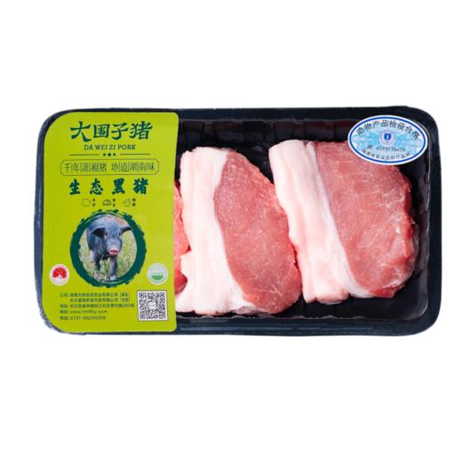 朴愿甄选   大围子猪肉 瘦肉 500克 商品图0