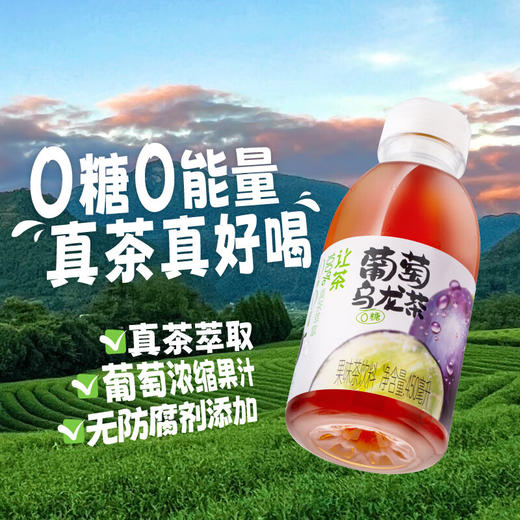 让茶无糖葡萄乌龙果味茶饮料450ml*15瓶整箱装 商品图2
