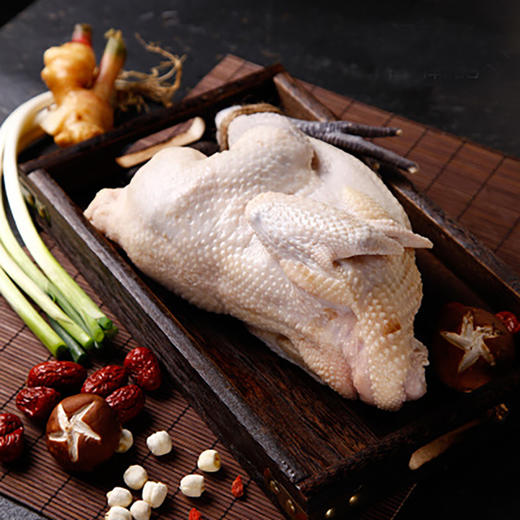 千岛湖高山土鸡 商品图2